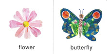 Load image into Gallery viewer, The Little Hungry Caterpillar Learning Library Books (Set of 4)