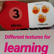 Load image into Gallery viewer, Baby Touch and Feel Books (Set of 3)