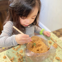 Load image into Gallery viewer, Jumbo Dino Egg