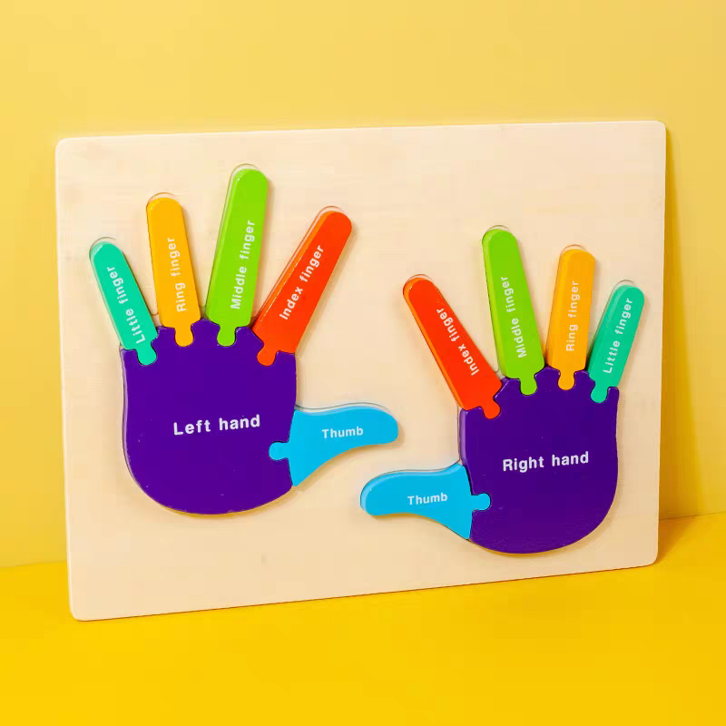 Montessori Fingers/Toes Nesting Puzzle