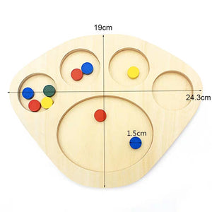 Montessori Colour Sorting Board