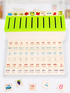 [Ready Stock] Montessori Classification Box