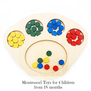 Montessori Colour Sorting Board