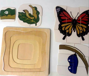 [Ready Stock] Montessori Nesting Life Cycle Puzzle (Butterfly)