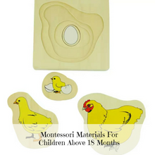Load image into Gallery viewer, [Ready Stock] Montessori Nesting Life Cycle Puzzle (Butterfly)
