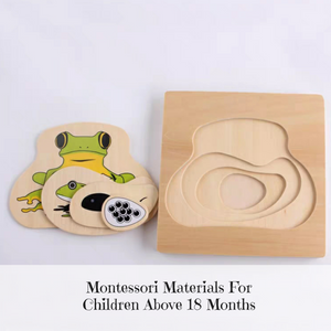 Montessori Nesting Life Cycle Puzzle (Frog)