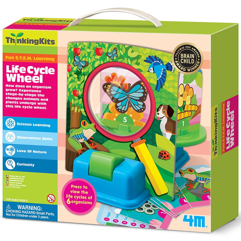 DIY Life Cycle Wheel